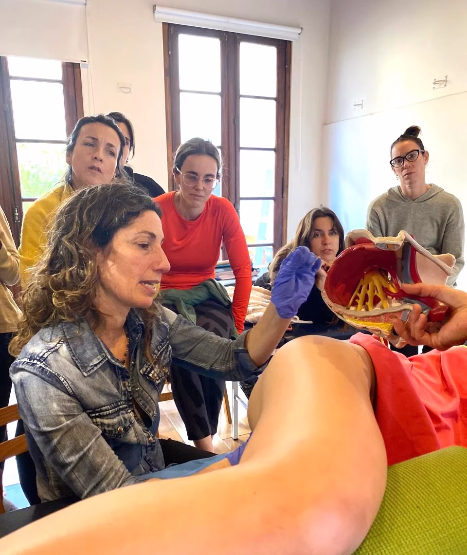 Capacitaciones para kinesiólogos
